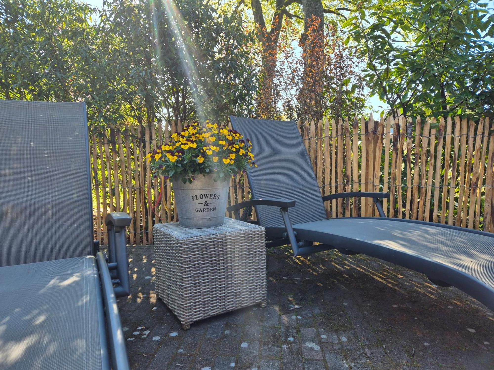 Bed En Breakfast Gees Экстерьер фото